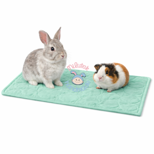 mata do klatki wodoodporna dla świnki morskiej królika miętowy.png