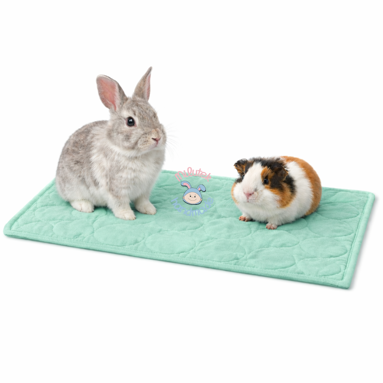 mata do klatki wodoodporna dla świnki morskiej królika miętowy.png