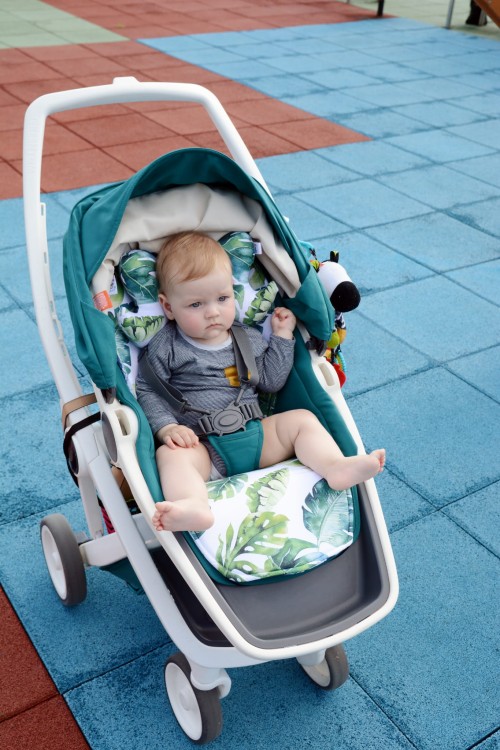 a8096058497c79b8c2fe24657e46e9da